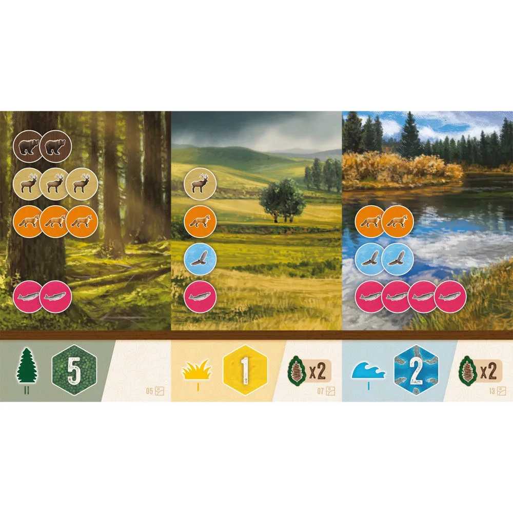 AEG Cascadia: Rolling Hills - Dynamic Flip-Roll-Write Board Game for Families
