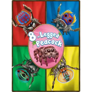 Brexwerx 8-Legged Peacock Drafting & Matching Card Game, Ages 10 
