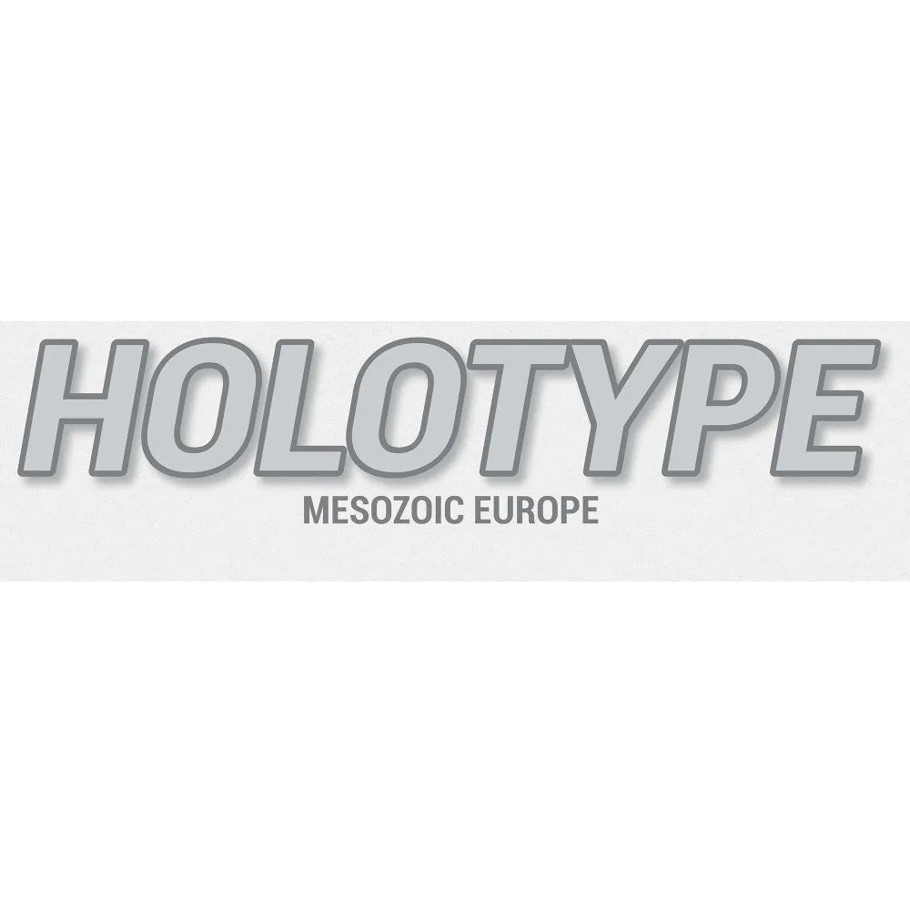 Brexwerx Games: Holotype - Mesozoic Europe Expansion - Paleontology Strategy Board Game
