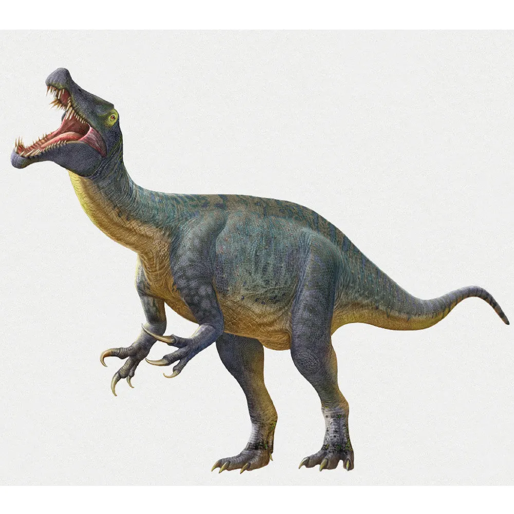 Brexwerx Games: Holotype - Mesozoic Europe Expansion - Paleontology Strategy Board Game