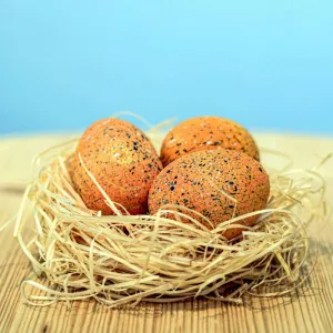 Bumbu Toys | Parasaurolophus Eggs Set of 3