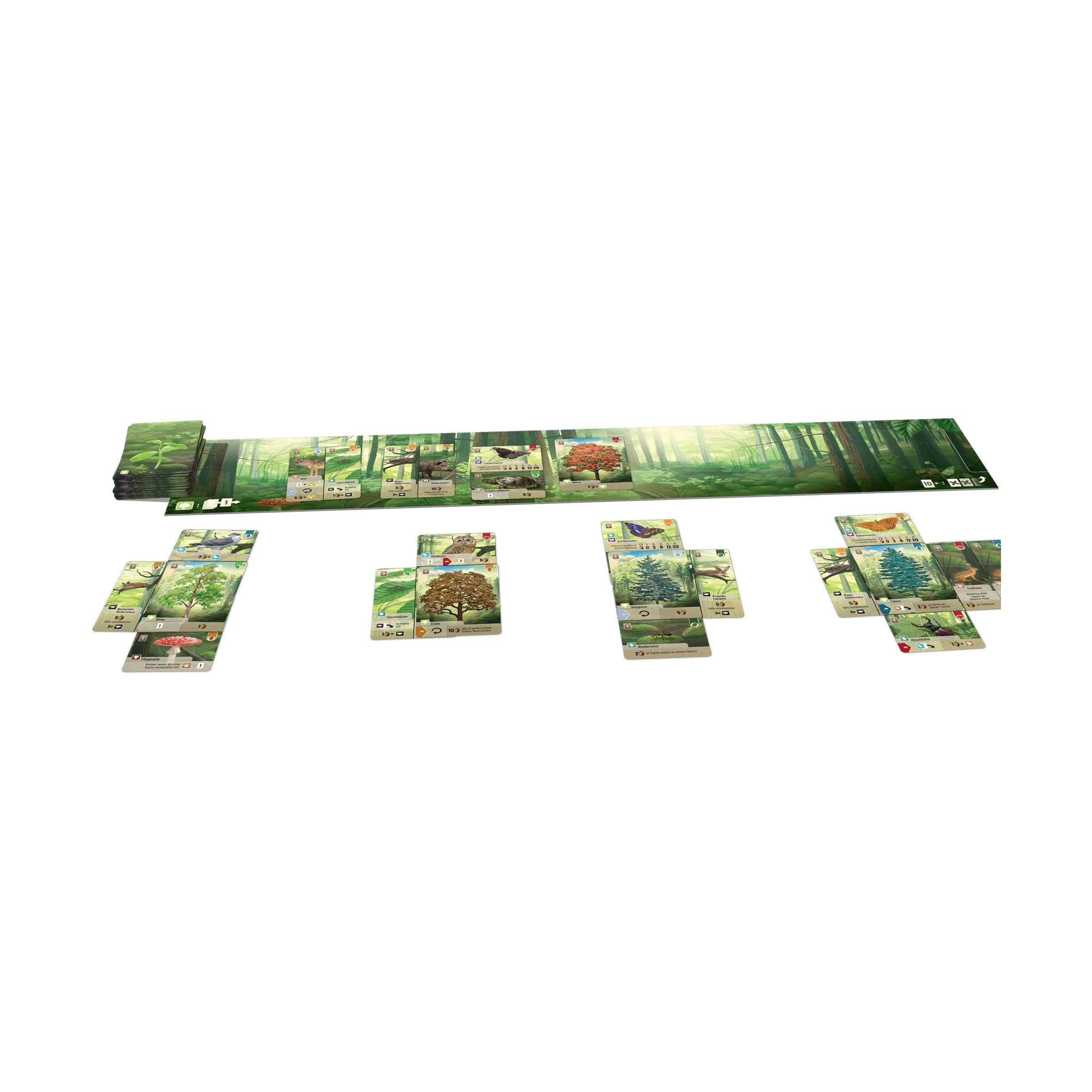 Forest Shuffle: Strategic Card Game for Nature Lovers
