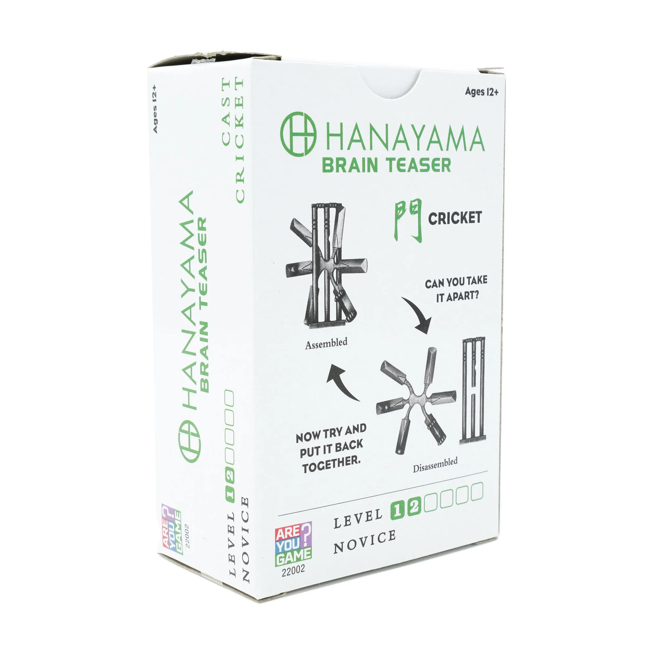 Hanayama Level 2 Cast Puzzle - Cricket Challenge