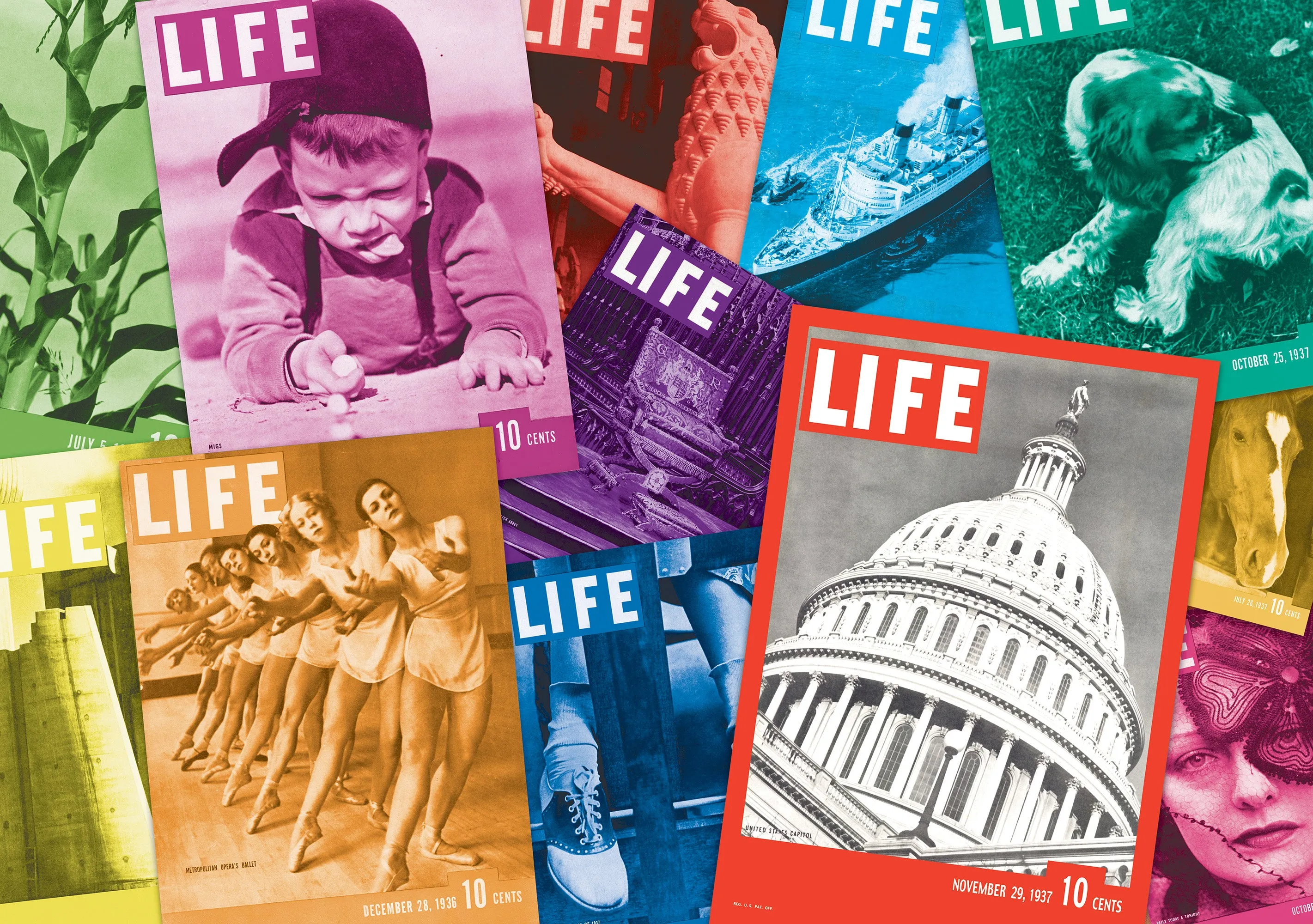 Life Brand 85th Anniversary Jigsaw Puzzle - 1000 pc