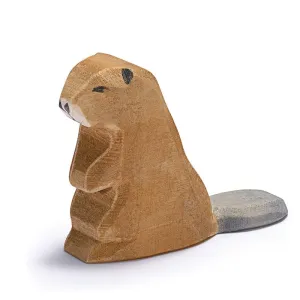 Ostheimer | Beaver Sitting