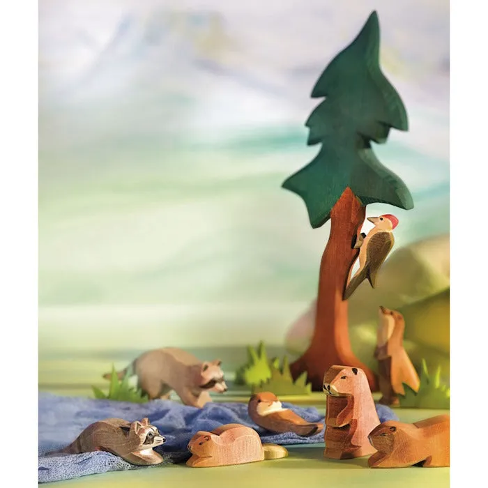 Ostheimer | Beaver Sitting