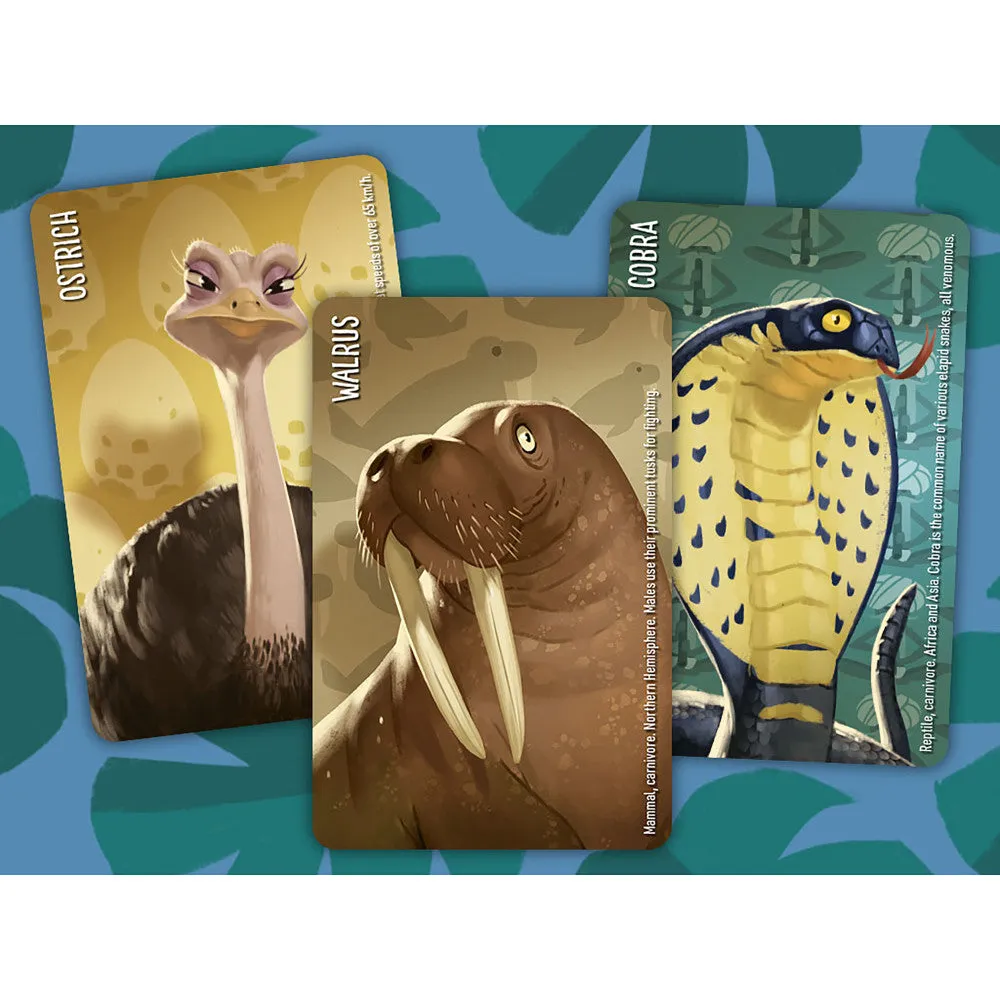 Similo: Wild Animals Cooperative Deduction Card Game