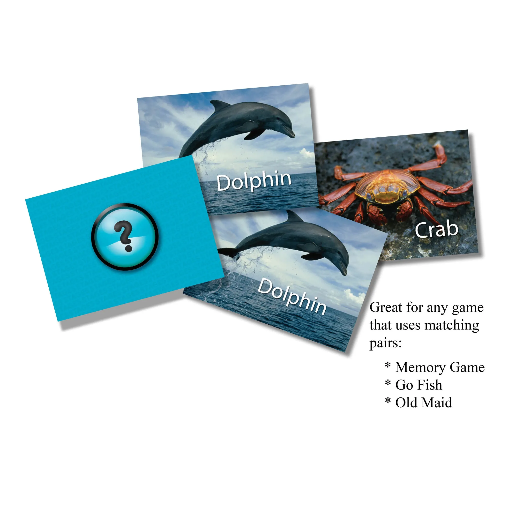 Stages Learning Sea Life Memory Matching Game - Photographic Card Set, Pack of 3