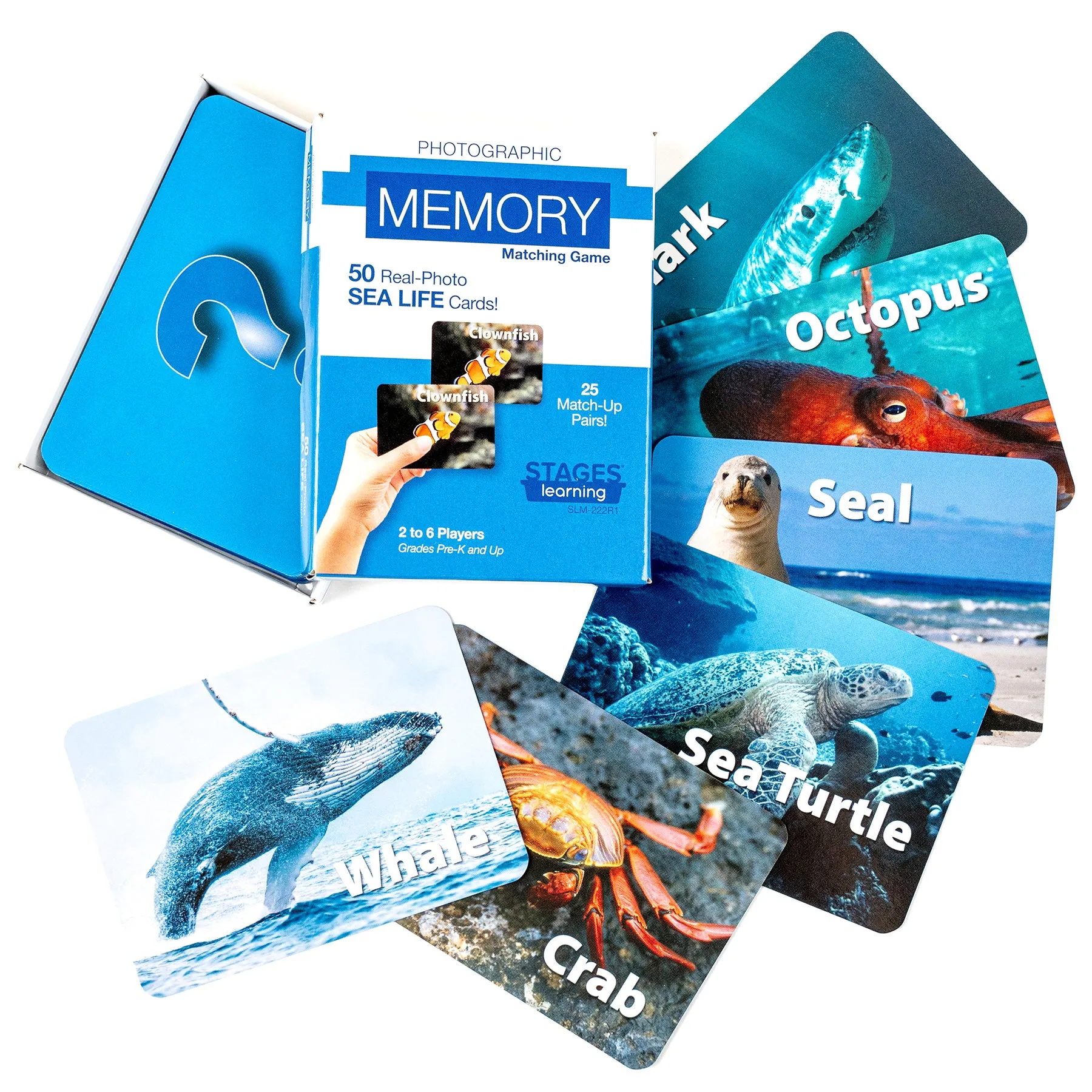 Stages Learning Sea Life Memory Matching Game - Photographic Card Set, Pack of 3
