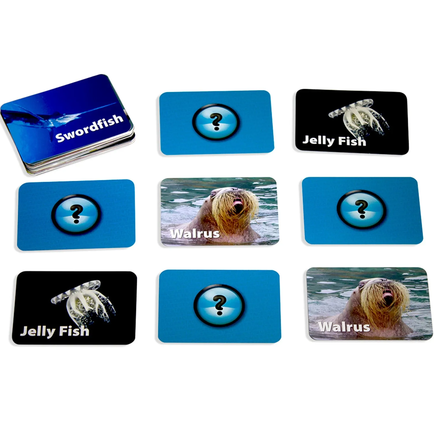 Stages Learning Sea Life Memory Matching Game - Photographic Card Set, Pack of 3