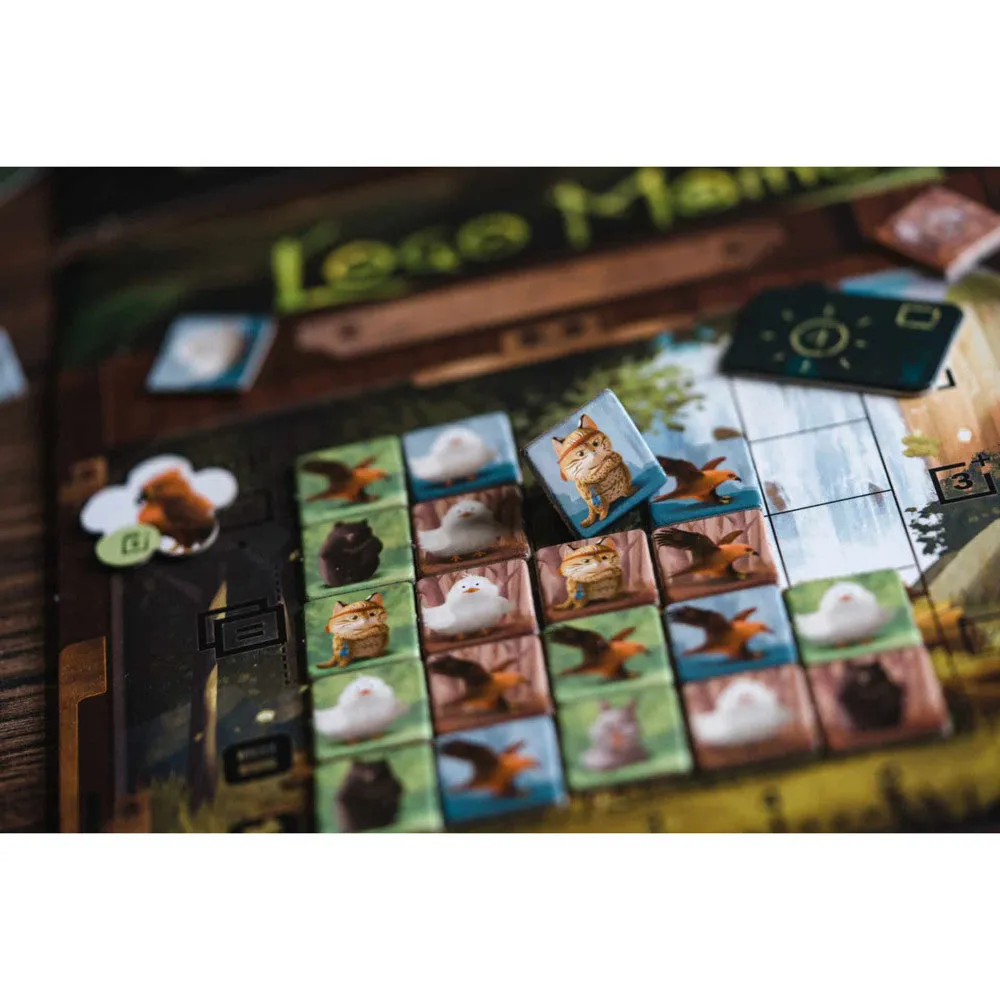 Wonderful World: Loco Momo Captivating Family Card Game, Ages 8 , 1-4 Players